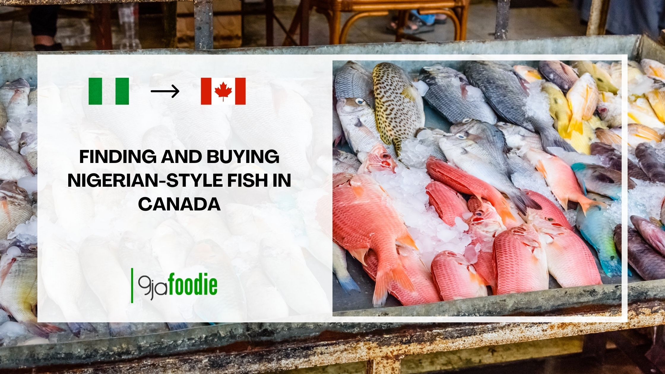 Finding and Buying Nigerian-style fish in Canada